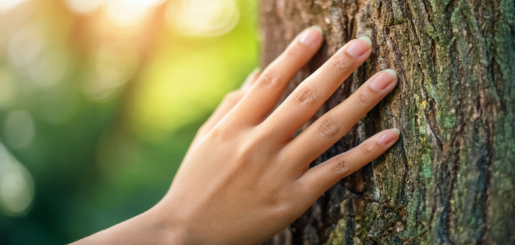自然に触れる暮らし